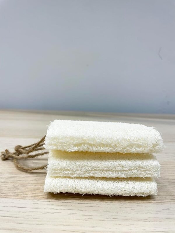 4"Plant Sponge 100% Natural Loofah Dish Sponges, Natural Dishwashing Sponges for Kitchen, Kitchen Scrubber Loofahs - 12 Pack - Image 8