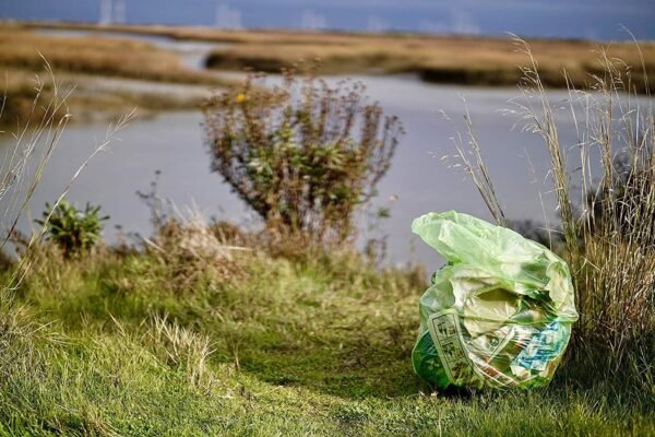 Reli. Biodegradable 13 Gallon Trash Bags | 800 Count Bulk | ASTM D6954 | Green | Eco-Friendly | Oxobiodegradable Under Certain Conditions (See Product Description) - Image 8