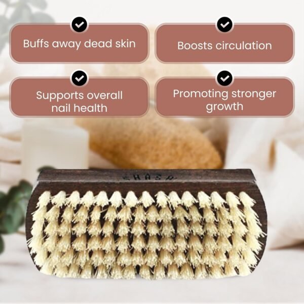 Since 1869 Hand Made In Germany Thermo Beech Wood Light Bristle Nail and Hand Brush - Image 3