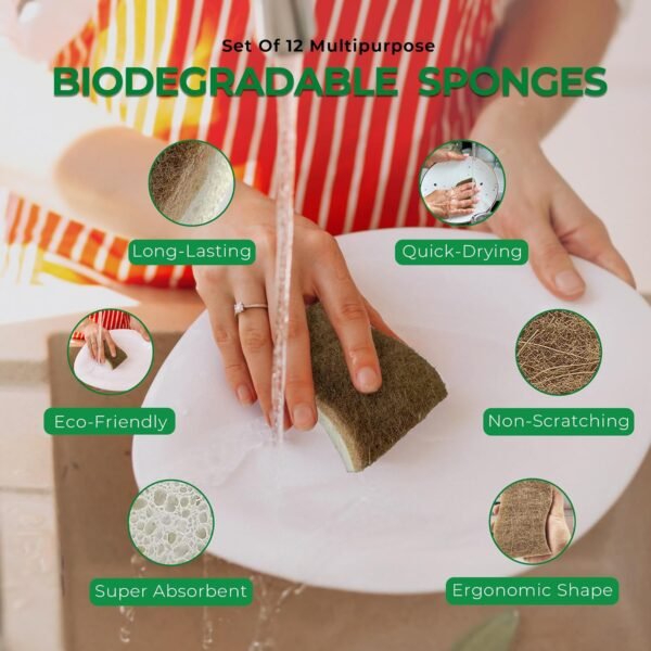 Rail Natural Kitchen Sponges - Effortless Scrub and Plant Based - Pack of 12 Biodegradable Wood Pulp Cleaning Sponges - Image 2