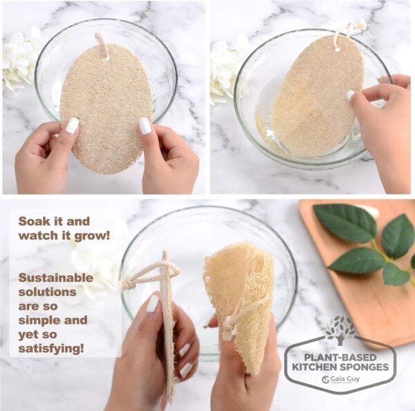 Gaia Guy Natural Dish Sponge (10 Pack), Compostable Kitchen Scrubber Scouring Pad, 100% Plastic-Free Loofah Plant-Based Dishwashing Scrubber, Biodegradable and Zero Waste - Image 6