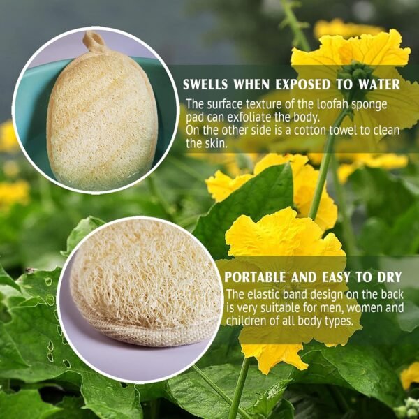 Natural Loofah Sponge Exfoliating(4 Packs),Made with Eco-Friendly and Biodegradable Shower Luffa Sponge, Loofah for Women and Men, Brown - Image 4