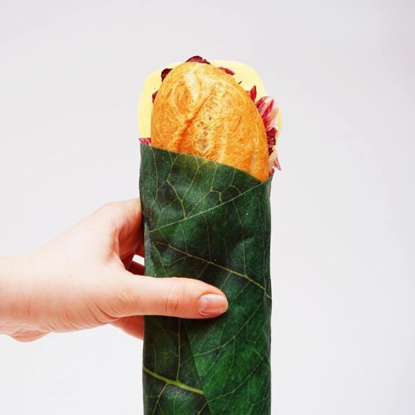 Suck UK | Leaf-Shaped Beeswax Wraps | Eco Friendly Beeswax Wrap | Reusable Food Storage | Kitchen Organization | Food Storage Containers | Reusable Pantry Storage - Image 3