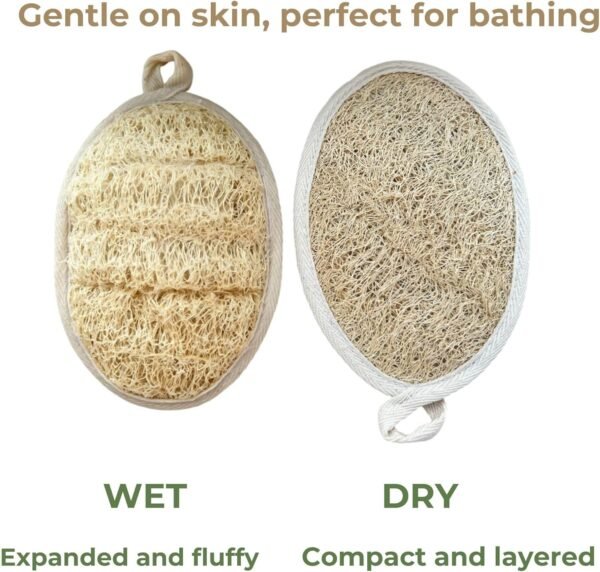 Natural Loofah Sponge, Exfoliating Body Scrubbers (2 Pack), Biodegradable Bath Loofahs Sponge, Gentle, Chemical-Free Bath & Body Loofah for Women, Men and Kids, Made with Natural Loofah - Image 2