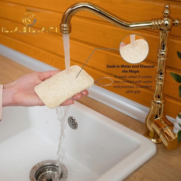 Natural Loofah Dish Sponge Scrubber | Eco-Friendly, Natural, Biodegradable and Reusable Dish Loofah Kitchen Sponge | 3 Count (1 Pack) - Image 4