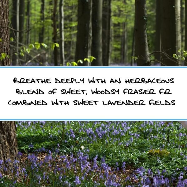 Bluebyrd Soap Co. Lavender Woods Bar Soap | 100% Essential Oil Fragranced Bar -Natural Cleansing Body Wash Bars | Handmade Organic Lavender Soap Bar With Best Skin Ingredients (Evergreen) - Image 3