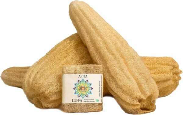 Premium Organic Loofah Sponge Medium 6“ | Loofah for Bath & Shower | Body Scrubber for Shower Scrubbing | Eco Friendly 100% Natural & Biodegradable | Daily Skin Cleansing Care for Women and Men - Image 5