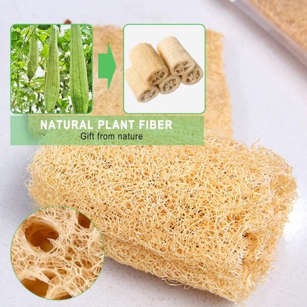 Natural Loofah Sponges Individually Wrapped, Non Scratch Organic Luffa Sponge, Odor-Free Biodegradable Dishwashing Sponge Natural for Kitchen Cleaning and Shower Scrubbing(8Pack) - Image 6