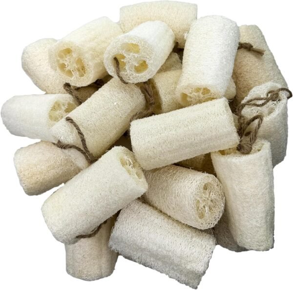 4" Plant Sponge 100% Natural Loofah Dish Sponges, Natural Dishwashing Sponges for Kitchen, Kitchen Scrubber Loofahs - 24 Pack