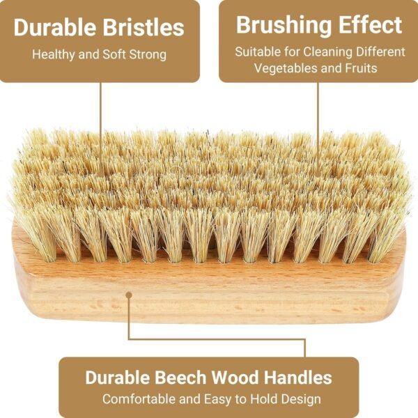 SEPGLITTER Vegetable Brush,2 Veggie Wash Brushes Potato Brush Cleaning Brush for Potato Carrot Cucumber and Fruits Vegetable Brush Scrubber for Food - Image 3