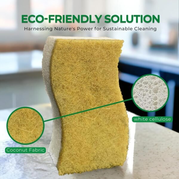 Rail Natural Kitchen Sponges - Effortless Scrub and Plant Based - Pack of 12 Biodegradable Wood Pulp Cleaning Sponges - Image 5