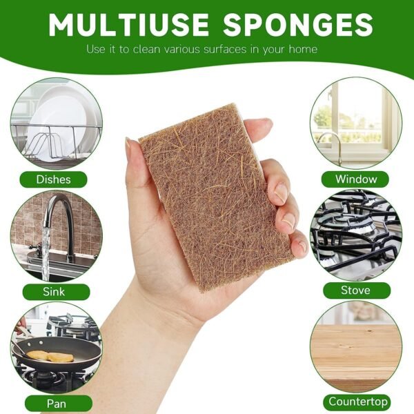 Graham & Ash Co Natural Kitchen Sponge - Biodegradable Compostable Cellulose and Coconut Scrubber - Pack of 10 Eco Friendly Sponges - Image 6