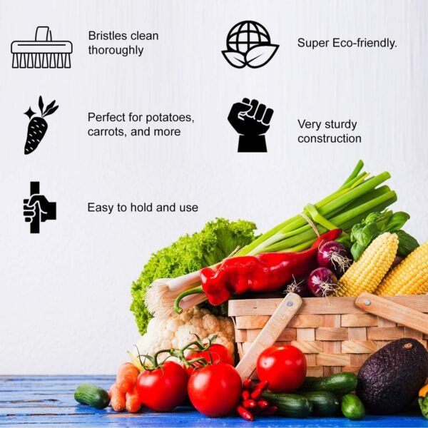 Vegetable Brush - Made from All Natural Bamboo and Palm Fibers - Scrub and Clean Carrots, Potatoes, Corn, Beets etc. (Single Pack) - Image 5