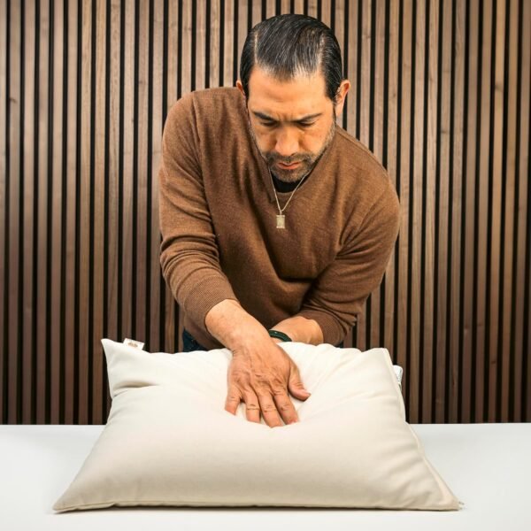 Sachi Organics Buckwheat Pillow Traditional Size 14"x20" - Image 4