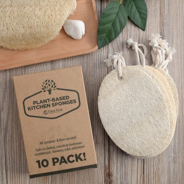 Gaia Guy Natural Dish Sponge (10 Pack), Compostable Kitchen Scrubber Scouring Pad, 100% Plastic-Free Loofah Plant-Based Dishwashing Scrubber, Biodegradable and Zero Waste - Image 3