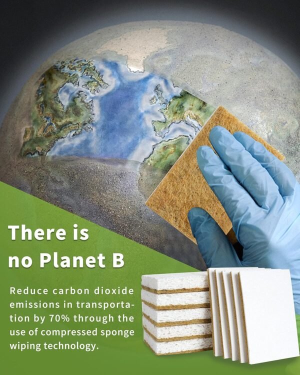 Biodegradable Natural Kitchen Sponge 12Pack, Compostable Cellulose and Coconut Walnut Scrubber Sponge - Image 6