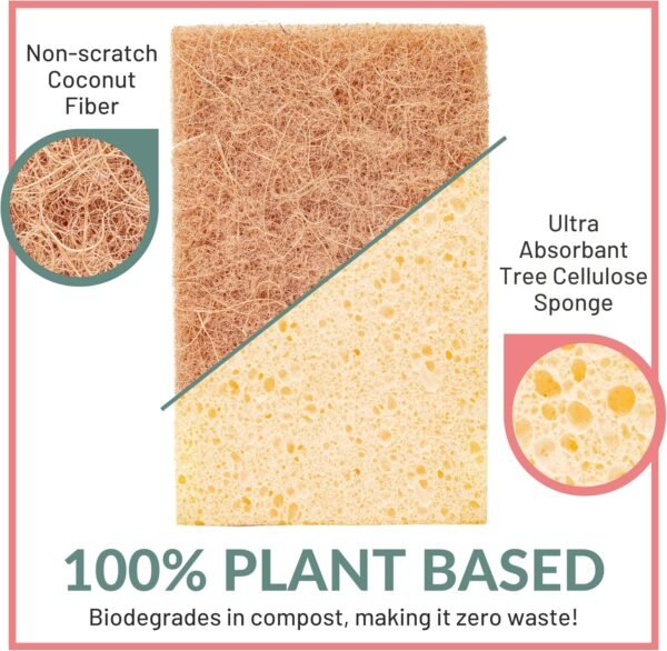 bioGo 24 Pack Biodegradable Kitchen Sponges - Eco-Friendly, Compostable, Natural Cellulose Dish Sponges - Compostable Sponges - Biodegradable Sponges - Cellulose Sponge - Sponges Kitchen - Image 2