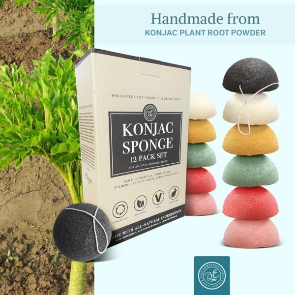 Bare Essentials Living - Konjac Sponges Set (12 Pack) with Activated Bamboo Charcoal Facial Sponge, Natural Sponge, Great for Facial Sponges, Bath Sponge, Beauty Sponge, and Exfoliating Body Sponge - Image 7