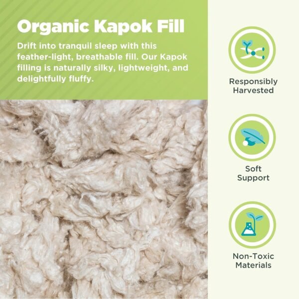 Bean Products Kapok Pillow - 14" x 20" - Japanese Sized - Organic Cotton, Vegan, Premium Quality - Made in USA Organic Fabric & Fill - Plus One Organic Natural Pillowcase - Image 4