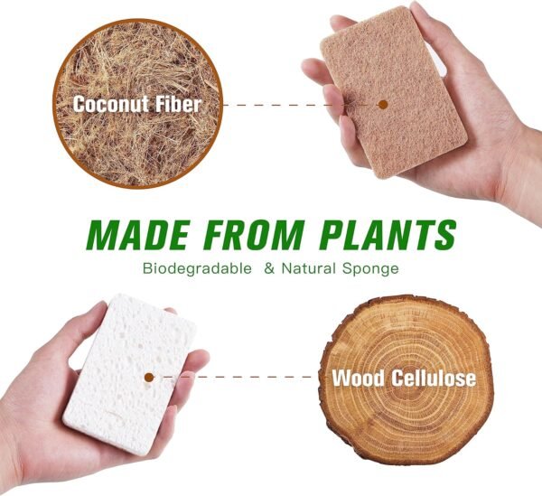 Natural Kitchen Sponge 12 Packs - Biodegradable Sponge - Eco-Friendly Sponge for Sustainable Living - Compostable Wood Cellulose and Coconut Washing Sponge. - Image 2
