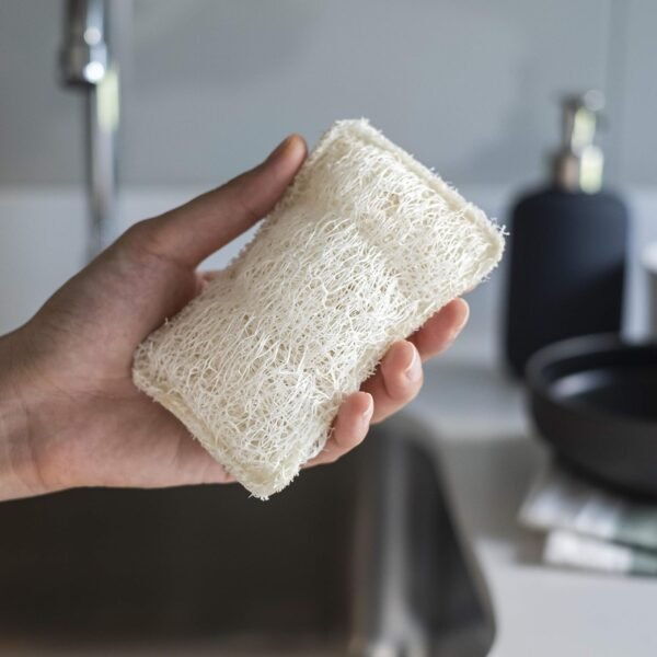 FAAY Eco Friendly Sponges for Dishes, Multi-Purpose Non-Scratch Loofah Scrubber for Cookware, Kitchen, Bathtub and Body, Handmade Unbleached Luffa Fiber, Natural, Biodegradable, Compostable & No Smell - Image 4