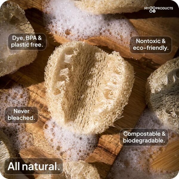 LoofaGO All-Purpose Natural Loofah Scrub Sponges, Biodegradable, Eco-Friendly for Kitchen, Shower, Bath, Skin, Facial, Body, and More (Pack of 10) - Image 2