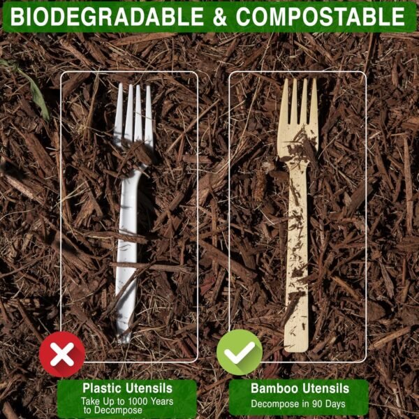 Disposable Bamboo Forks, 100-Count Set; BPA Free Splinter-Free Biodegradable & Ethically Sourced Compostable Cutlery Perfect for Appetizers and Cocktails - Bamboo Forks Disposable - Image 7
