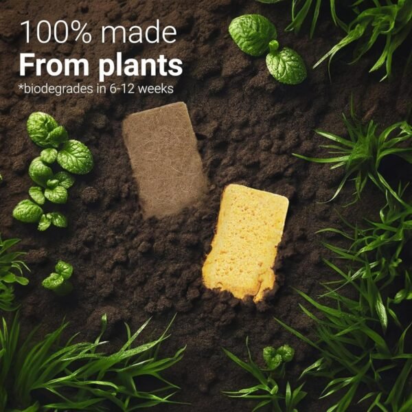 bioGo 24 Pack Biodegradable Kitchen Sponges - Eco-Friendly, Compostable, Natural Cellulose Dish Sponges - Compostable Sponges - Biodegradable Sponges - Cellulose Sponge - Sponges Kitchen - Image 3