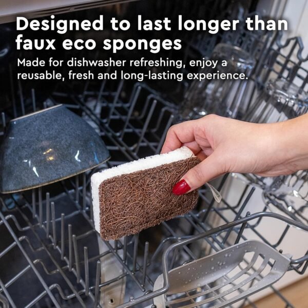 Natural Sponges for Dishes - More Durable and Genuinly Eco Friendly Sponges - 100% Coconut Sponge - Zero Polyester Odor Free Biodegradable Kitchen Sponges - Stiched Compostable Sponges by ZeroWastely - Image 7