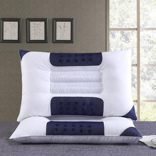 Cassia Magnetic Neck Care Sleeping Health Pillow, Pair of Sleeping Pillows, Blue-white
