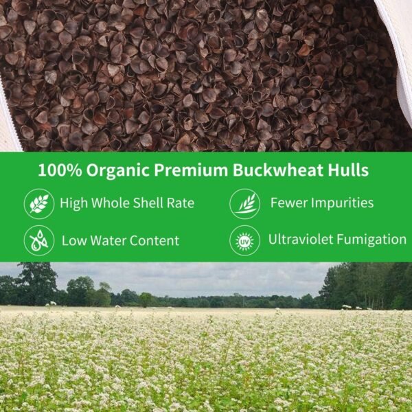 Organic Buckwheat Pillow for Sleeping 100% Natural Premium buckwheat Hulls Organic Cotton Pillowcase for Cool Sleep Cover Removable Neck Support for Back and Side Sleepers-Twin/Standard Size (20"x26") - Image 2
